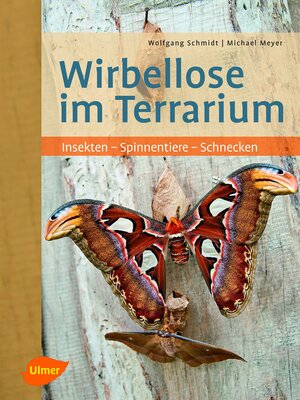 cover image of Wirbellose im Terrarium